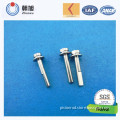 China Supplier Promotional Stainless Steel Self Drilling Screws with High Precision